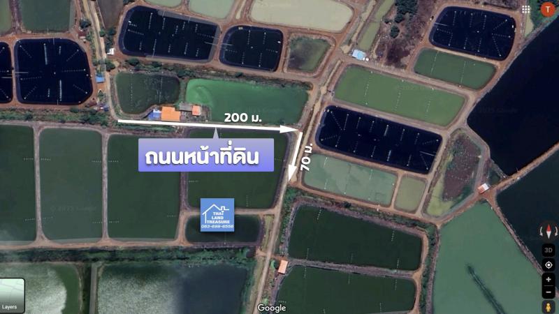 ที่ดิน 215390002 ฉะเชิงเทรา บางน้ำเปรี้ยว บางน้ำเปรี้ยว